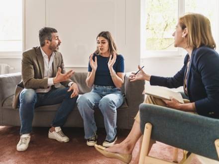 kane County mediation attorney