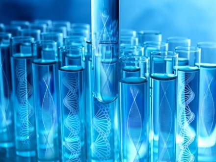 St. Charles, IL family law attorney